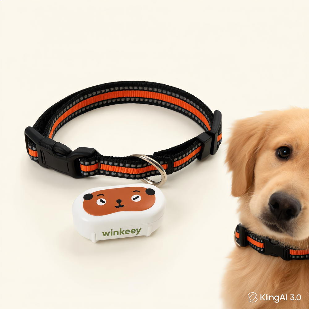 Winkeey GPS collar — orange adventurer variant on a golden retriever