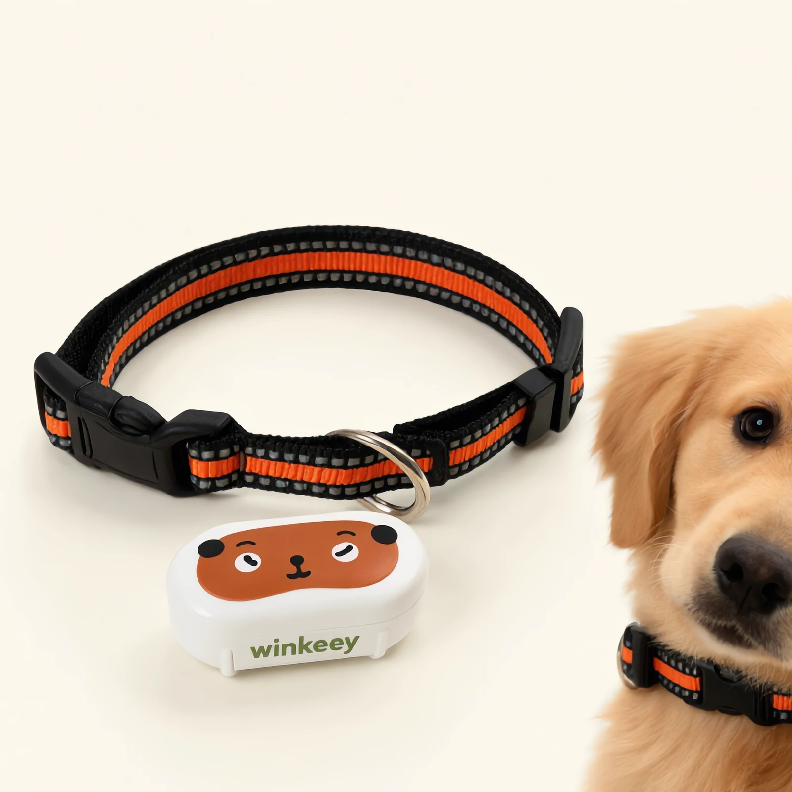 Winkeey GPS collar — adventurer