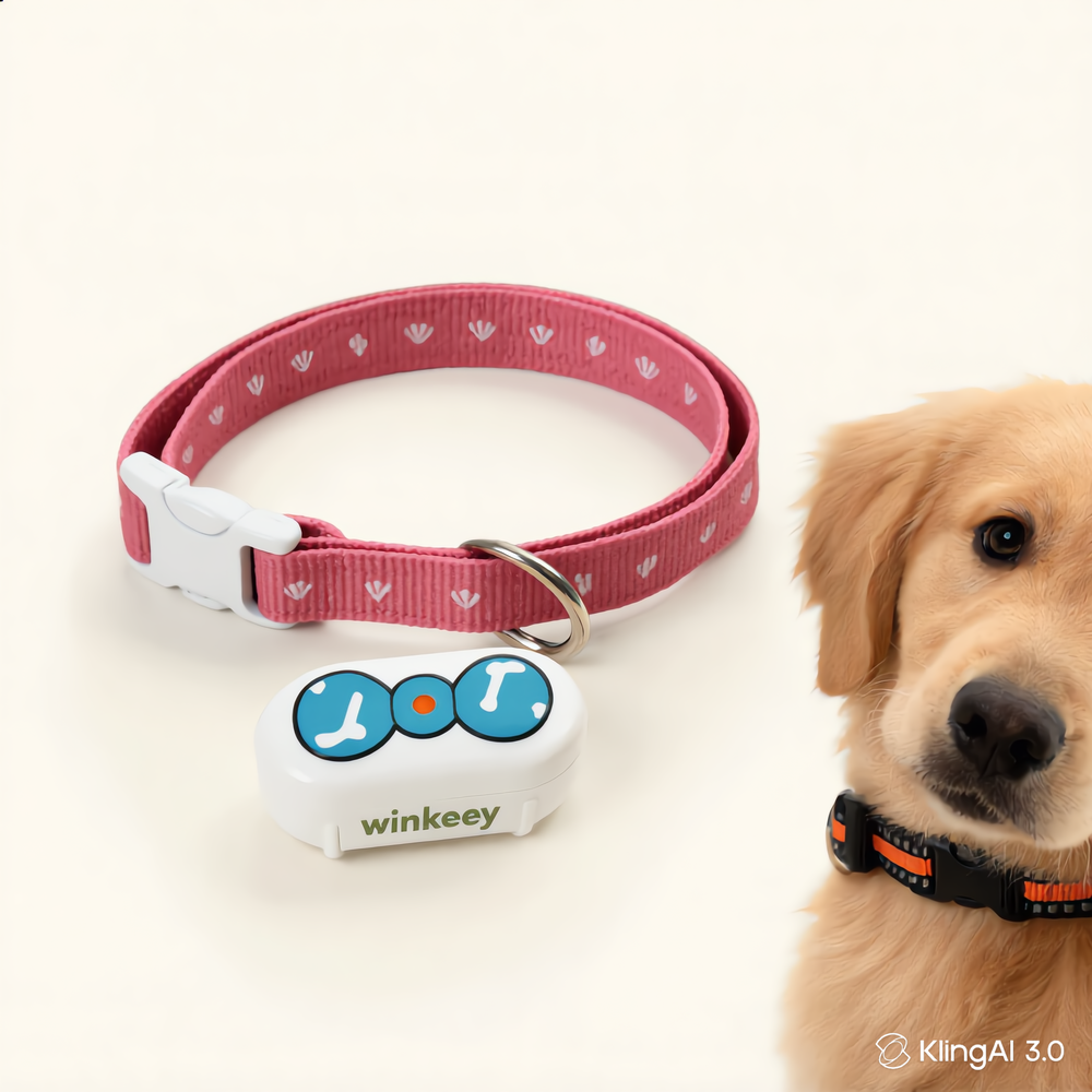 Winkeey GPS collar — pink sweetheart variant on a golden retriever