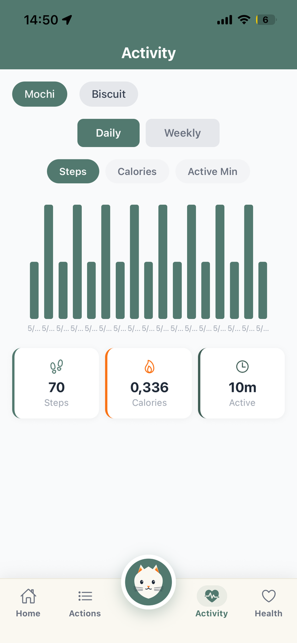 Daily timeline — screenshot